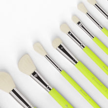 Load image into Gallery viewer, BH Cosmetics Color Festival 12 Piece Brush Set with Angled Brush Holder